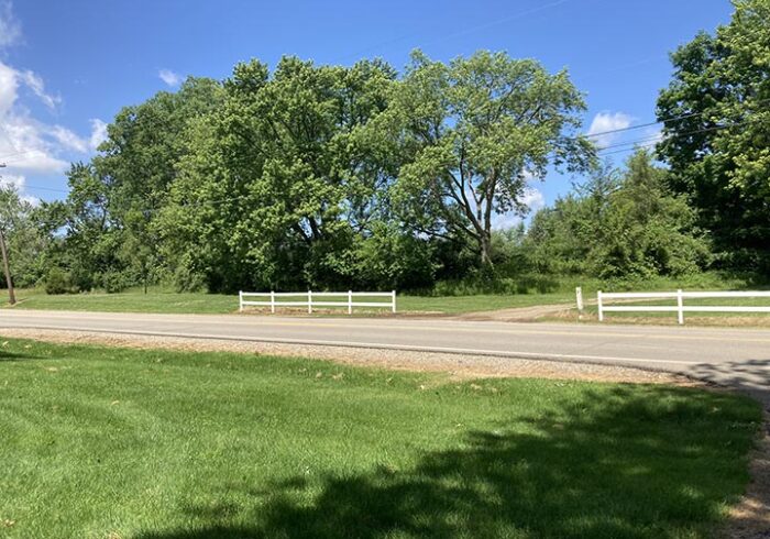 IMG 0172 SHP 700x490